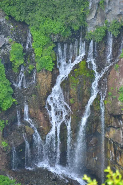 DSC_3960 (Large).JPG